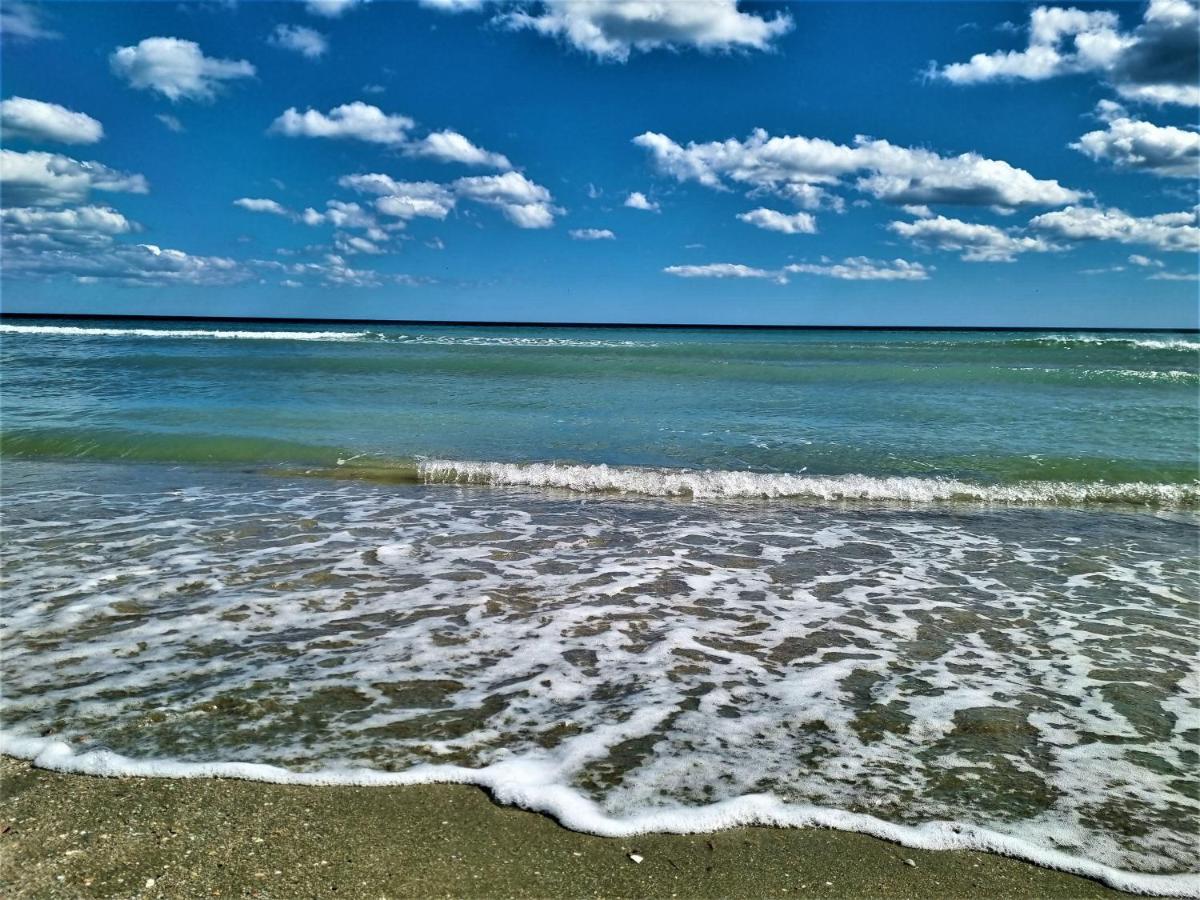 Summer Onix Mamaia Nord Apartament Năvodari المظهر الخارجي الصورة